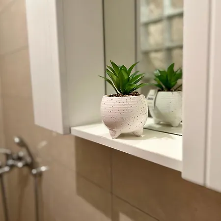 Apartment Nono
